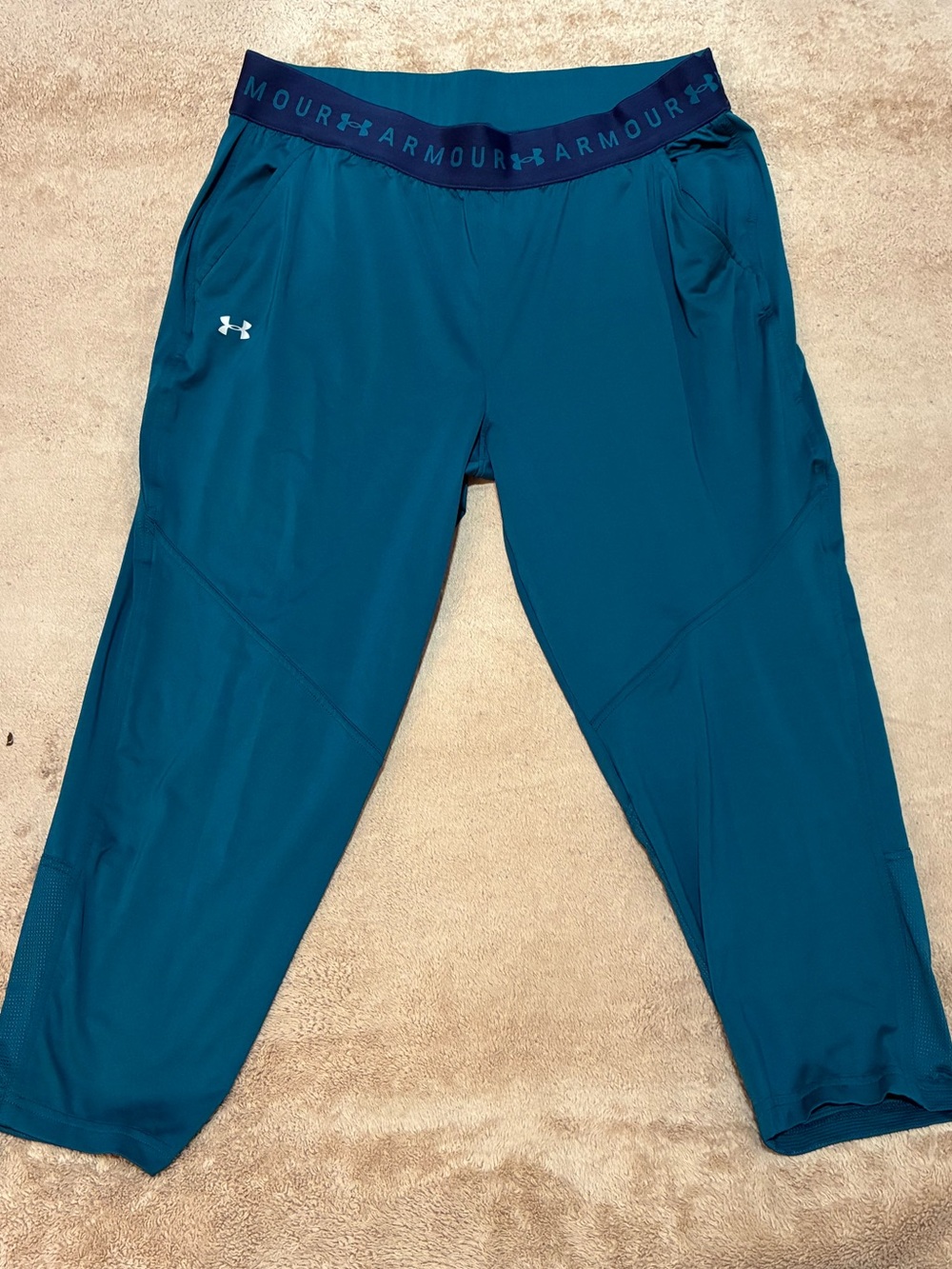 Under Armour cropped teal joggers (large)